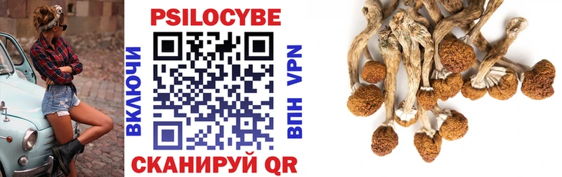Псилоцибиновые грибы мухоморы Шатура